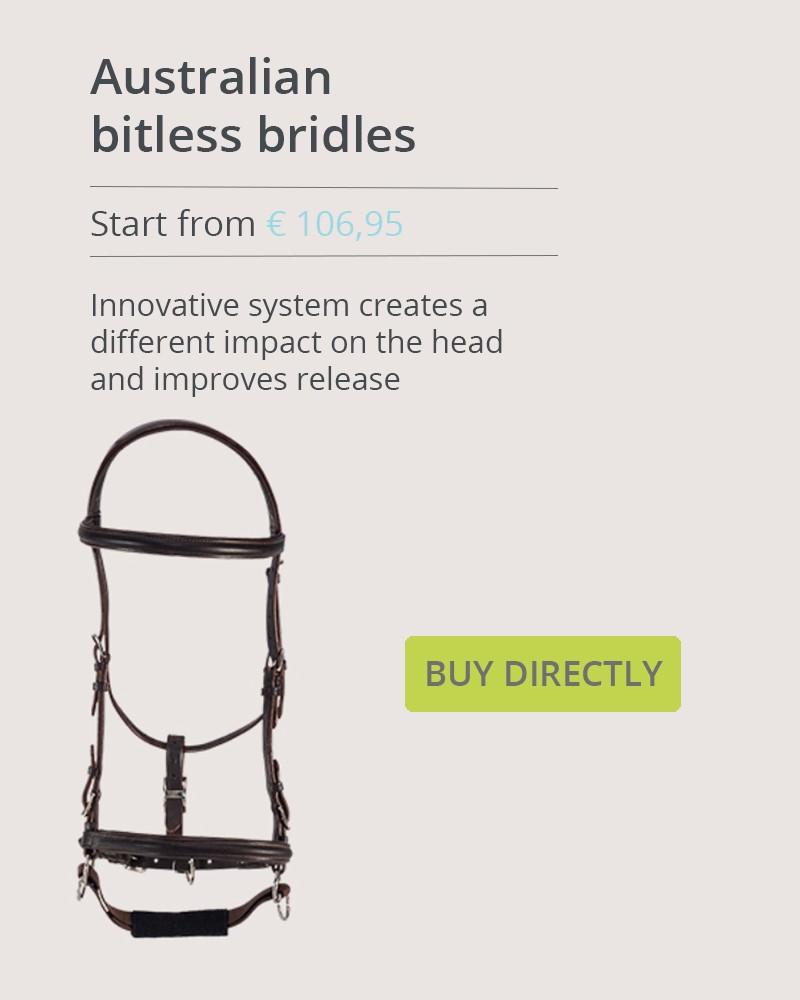 Banner for bitless bridles