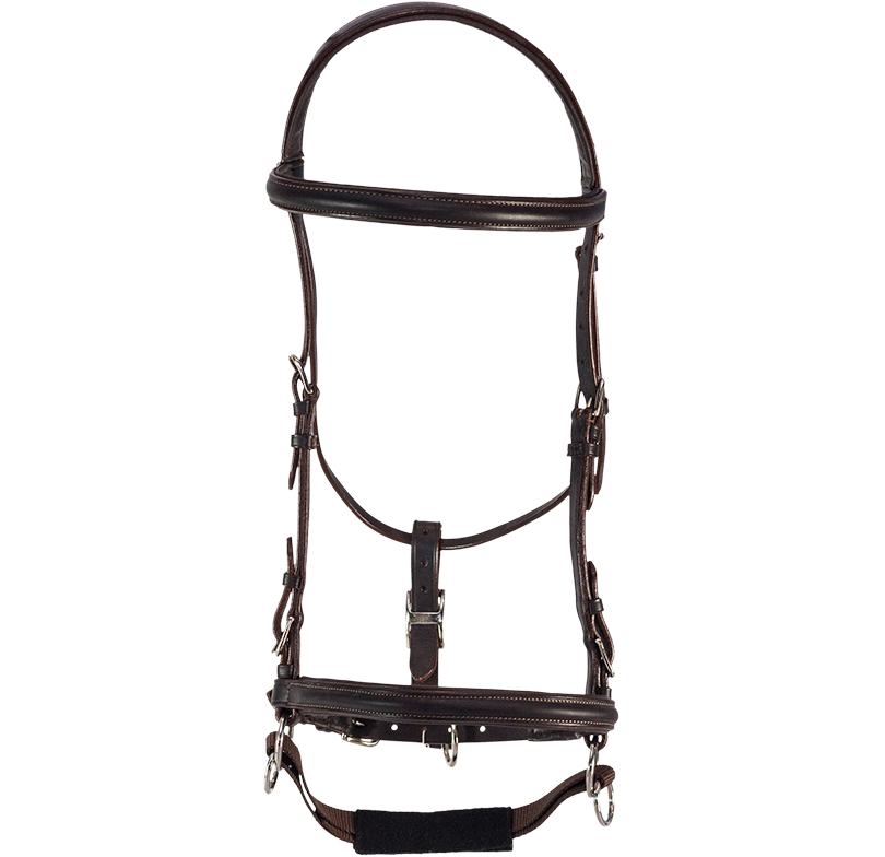bridles